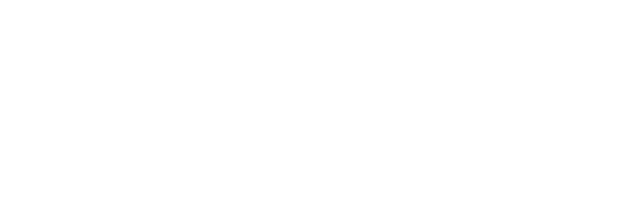 pigeon zoom logo